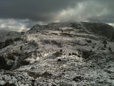 NIEVE