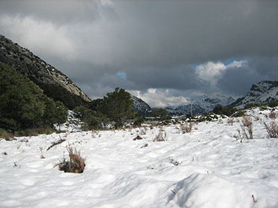 NIEVE2