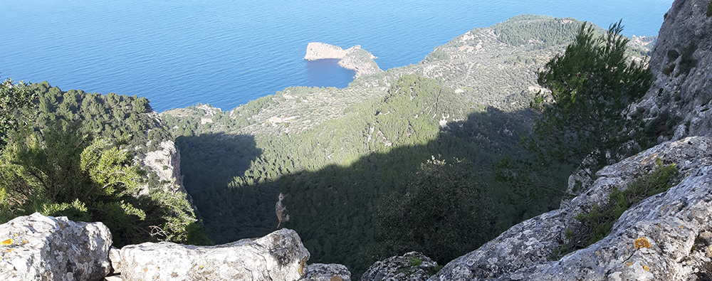 trecking